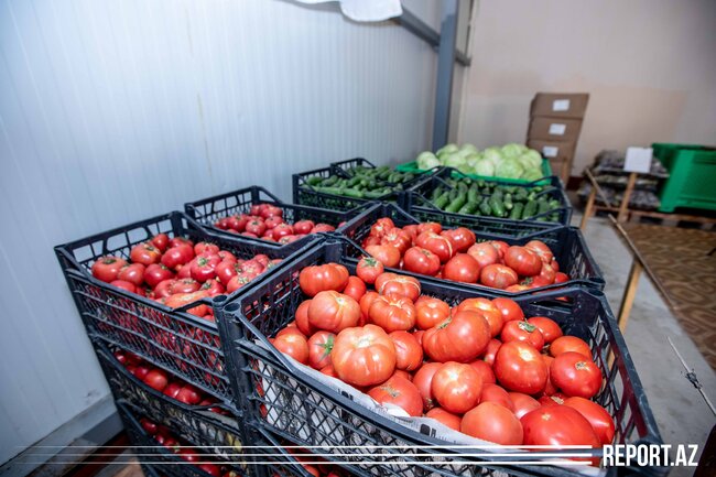 "Salam, əsgər!" - FOTOREPORTAJ