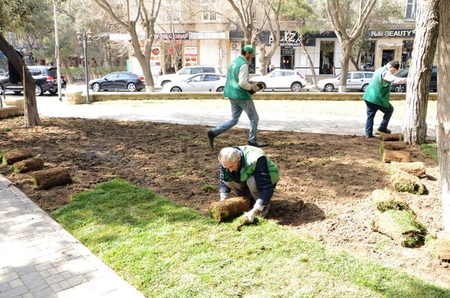 Paytaxtda ümumşəhər daxili iməcliyi keçirilib