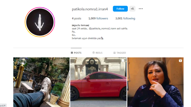 Bu "İnstagram" səhifələri AÇIQ-AŞKAR "patı" satır - FOTO