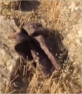 Azərbaycanda evli kişi sevgilisini öldürüb intihar etdi? - 