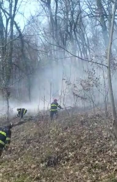 İsmayıllıda meşə yanır - FOTO