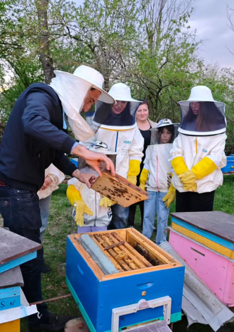 Leyla və Arzu Əliyevalar Qəbələdə - Fotolar