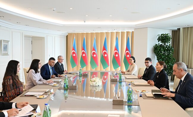 Mehriban Əliyeva Mərakeş Şahzadəsi ilə görüşdü - Fotolar
