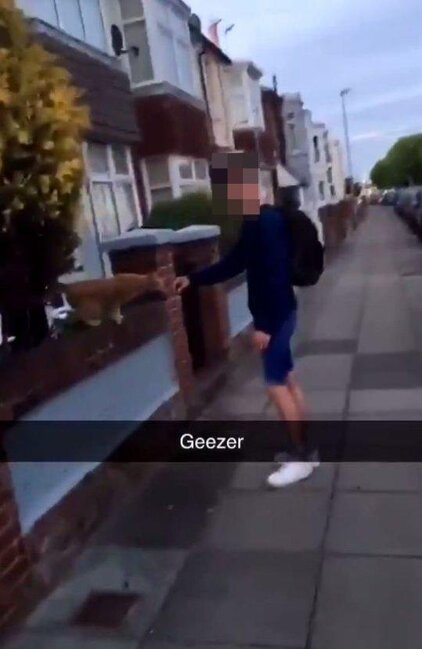 Pişiyin başını yumruqla əzən oğlan tutuldu - FOTO