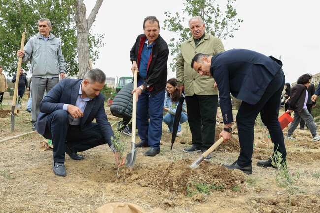 "Zeytun bağları" beynəlxalq elmi konfransa dəstək verib