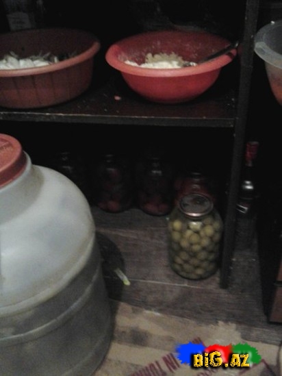 Bakının bu kafesində qorxulu faktlar aşkarlandı - FOTO