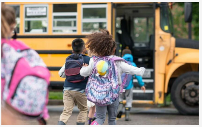 Ekspert: "Məktəbli avtobusları təhlükəsizlik, ekoloji fayda və təhsil bərabərliyi baxımından mühüm addımdır"