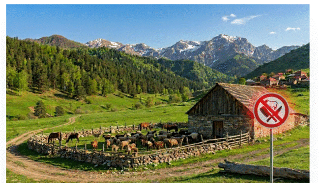 Azərbaycanda ət bazarını gözləyən inqilabi dəyişiklik: QİYMƏTLƏR ARTACAQ? - FOTO