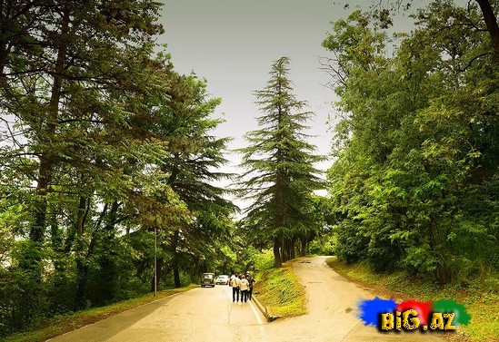 Balkan Yarımadası haqqında maraqlı məlumatlar və - FOTO