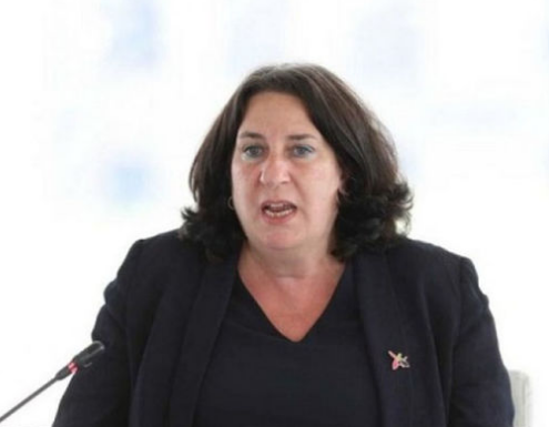 Brenda Şaffer: "Ukrayna və Gürcüstana olar, Azərbaycana olmaz?" - FOTO