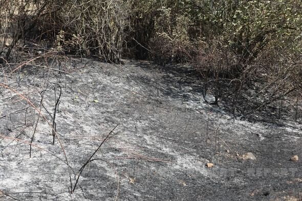 Şabranın bəzi kəndlərində yanğınlar söndürüldü - FOTO