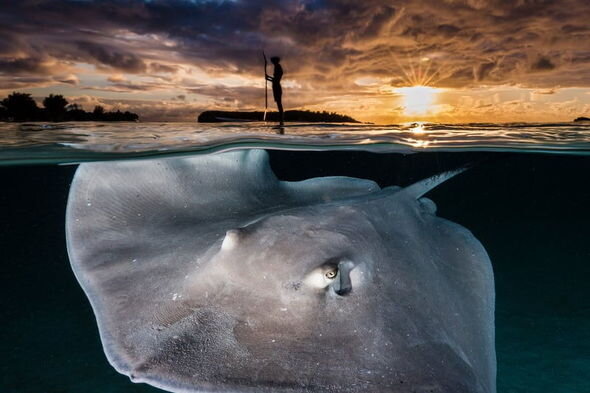 Okean fotoqraflarının çəkdikləri heyrətamiz kadrlar – FOTO