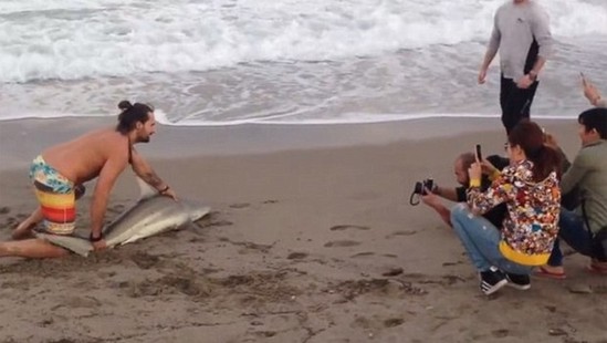 "Selfie" çəkdirmək üçün köpəkbalığını öldürdü - VİDEO