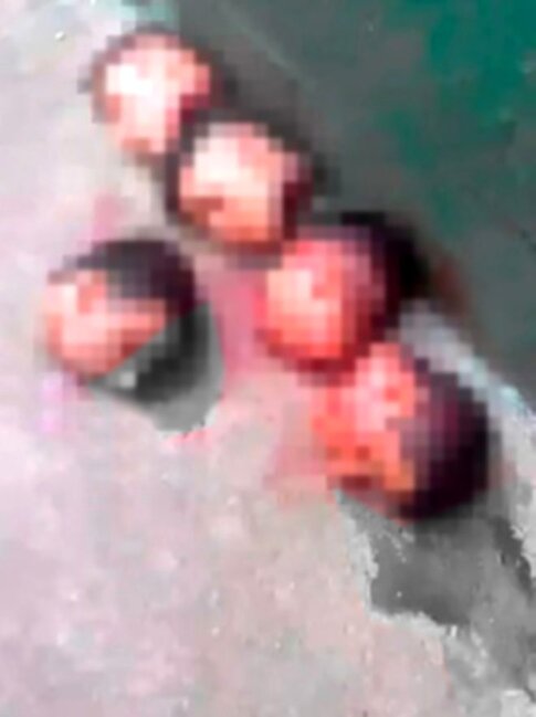 57 nəfərin qətlə yetirildiyi həbsxanada DƏHŞƏT - Başlarını kəsib, top əvəzi... - +16 FOTO