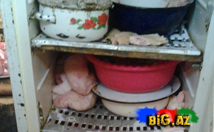 Bakının bu kafesində qorxulu faktlar aşkarlandı - FOTO