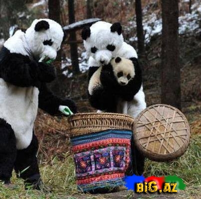 Dünyada baş verən maraqlı xəbərlər