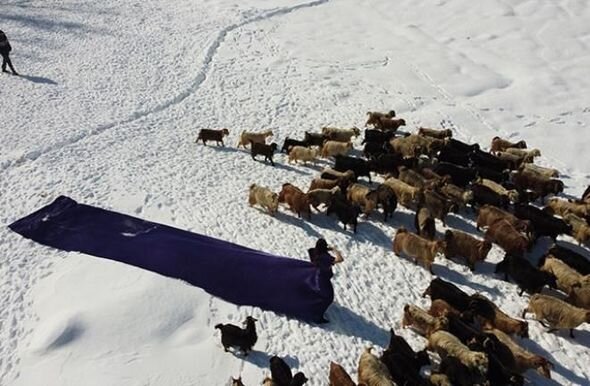 Türkiyə gözəli fotosessiya üçün GÖRÜN NƏ ETDİ - FOTO