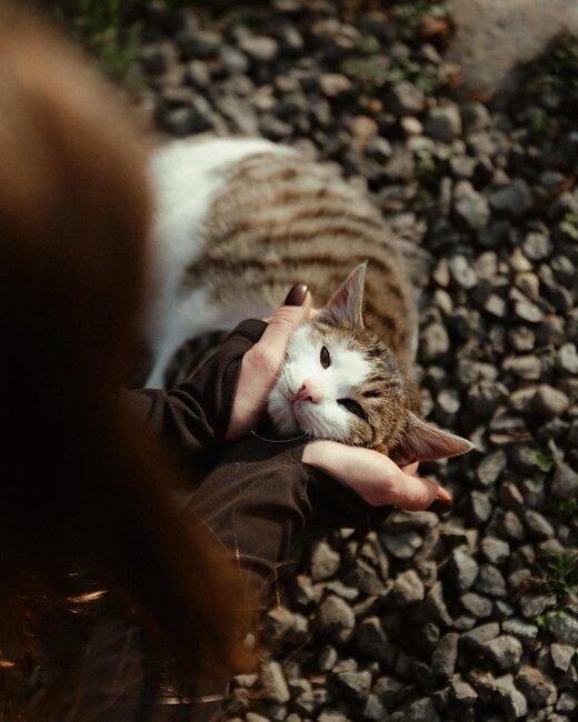 Prezidentin gəlinindən yeni - Fotolar