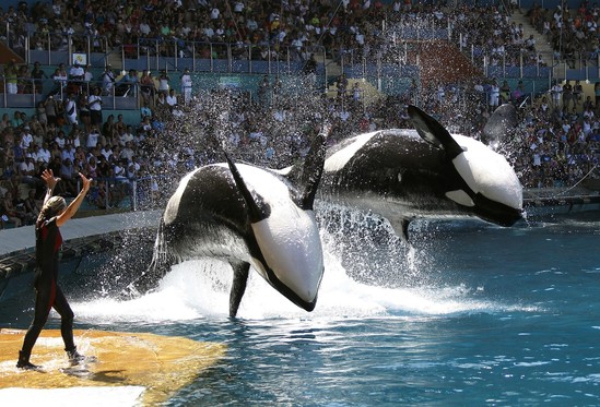 Mütləq izləməli olduğunuz çox maraqlı - 10 SƏNƏDLİ FİLM