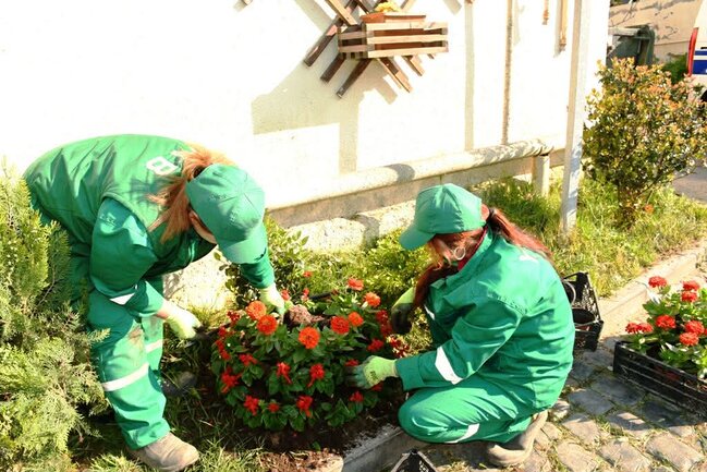 Paytaxtın qəsəbələrində iməclik keçirilib