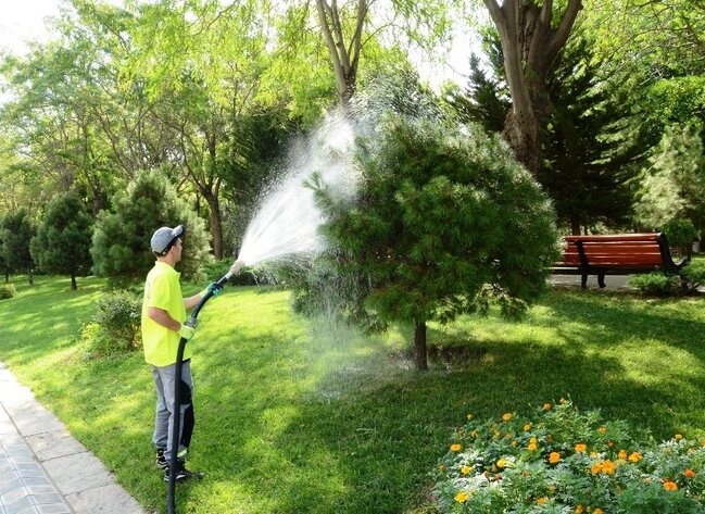 Paytaxtda daxili iməclik keçirildi