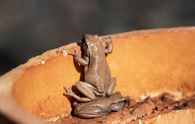 Gülmək istəyirsinizsə, bu fotolara baxın