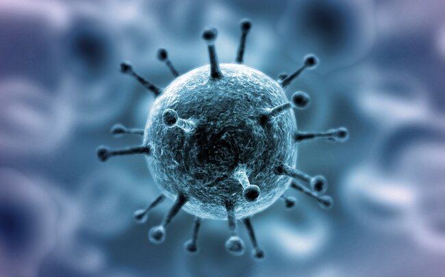 Dünyada koronavirusa yoluxma hallarının sayı 305 milyonu ötüb