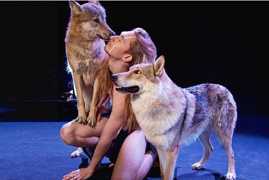 "Eurovision" səhnəsinə lüt çıxacaq - FOTOLAR