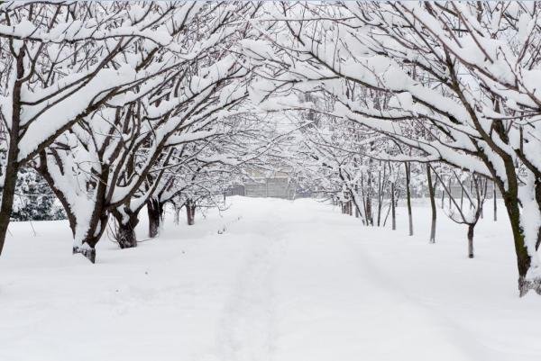 Bakıya yarım metr qar yağdı