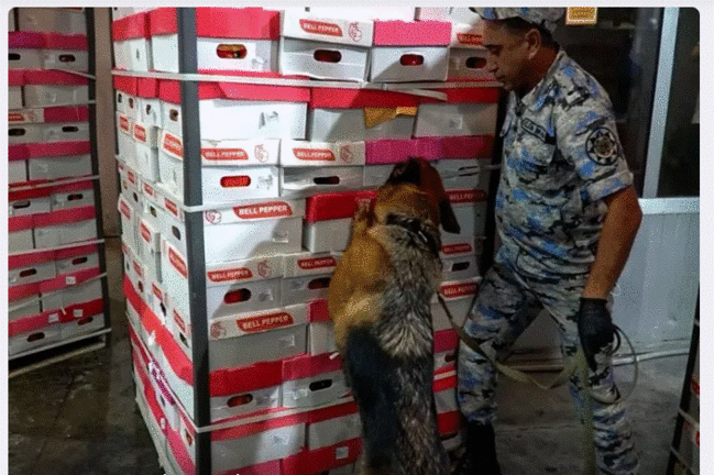 Azərbaycan gömrükçüləri İrandan Rusiyaya aparılan bibər içində narkotik tapdı