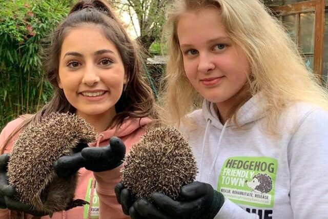 İNANILMAZ! 13 yaşlı qızlar yaşıdlarının ağlına gəlməyəcək bir iş gördülər