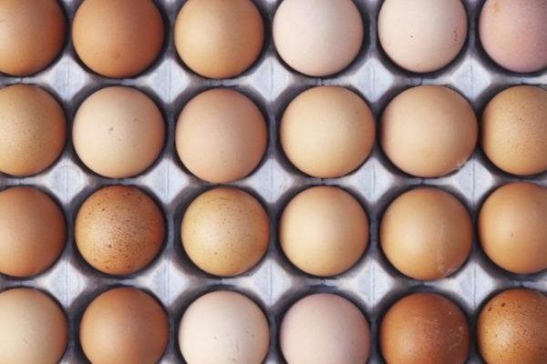 Yumurta ucuzlaşıb - VİDEO
