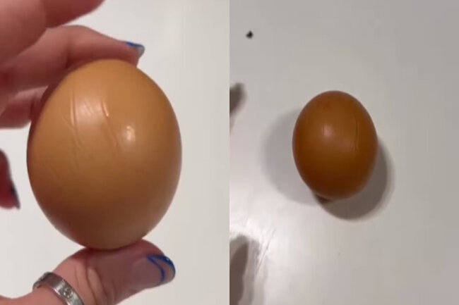 Unikal toyuq yumurtası - FOTO