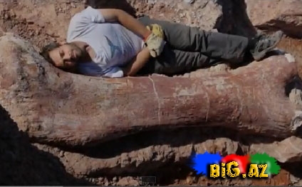 Dünyanın ən böyük dinozavrının skeleti tapıldı-VİDEO