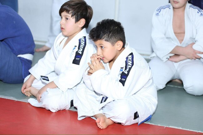 Azərbaycan Braziliya Ciu-citsu Klubu İctimai Birliyinin təşkilatçılığı tərəfindən "Seçilmişi seçməyə ehtiyac yoxdur!" adlı seminar keçirilib