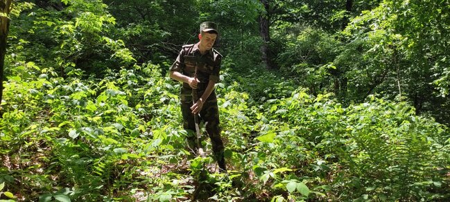 Hindistanlı turistin axtarışları davam etdirilir - Video