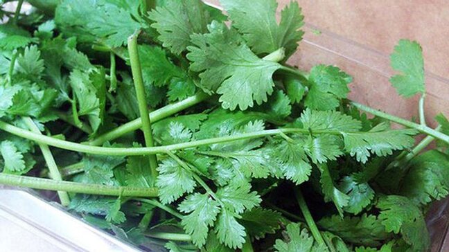 Keşnişin faydaları haqqında BİLMƏDİKLƏRİNİZ