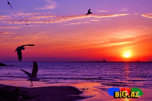 Zövqünüzü oxşayacaq mükəmməl mənzərələr - FOTO