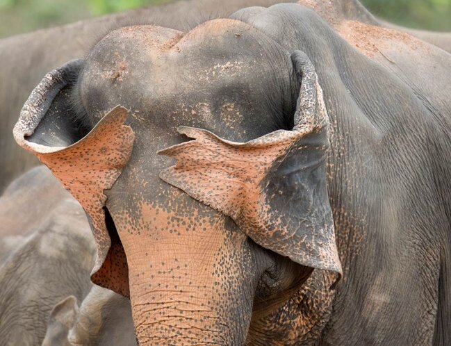 Gülmək istəyirsinizsə, bu fotolara baxın