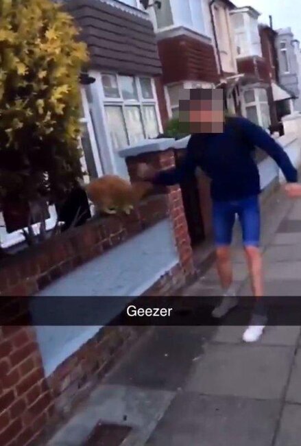 Pişiyin başını yumruqla əzən oğlan tutuldu - FOTO