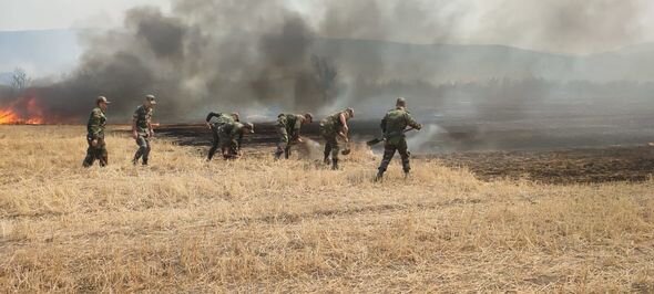 Azərbaycanda beş min hektar ərazi yanıb - FOTO-VİDEO