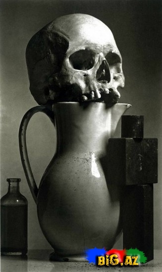 Pikasso və Ditrixin nadir fotoları - FOTO