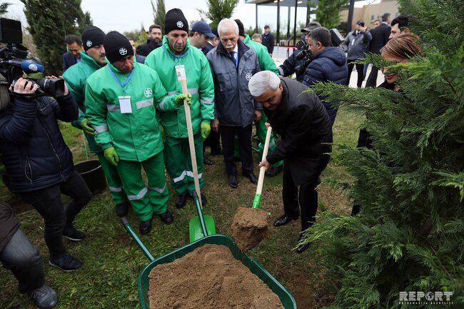 Azərbaycan neftçiləri bir gündə 100 min ağac əkməyə başlayıb