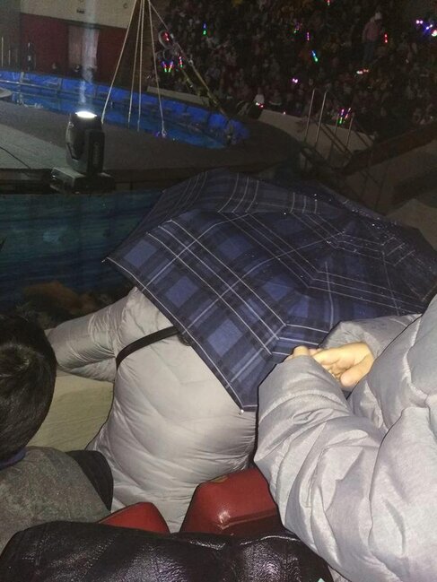 "30 manat pul verib sirkə getdim, yağışın altında izlədim"- Bakı Dövlət Sirkində BİABIRÇILIQ