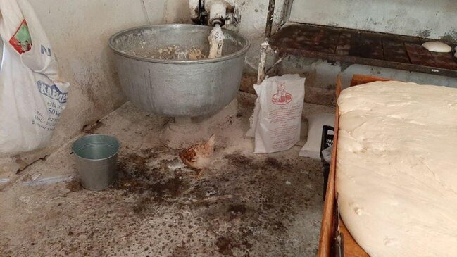 Azərbaycanda natəmiz şəraitdə çörək istehsal edilir - FOTO