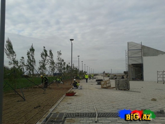 Bakı Olimpiya Stadionunda yaşıllaşdırma - FOTO