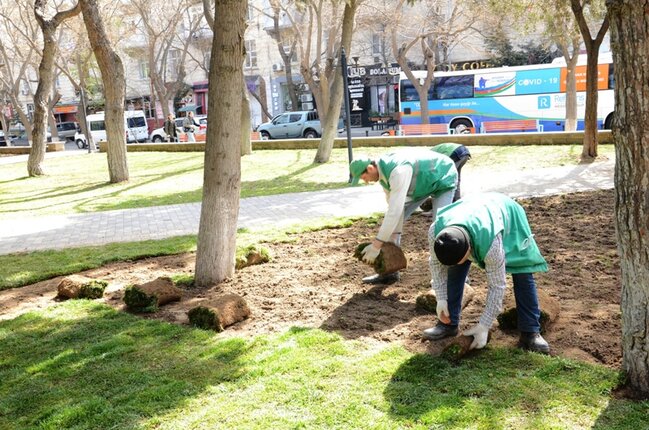 Paytaxtda ümumşəhər daxili iməcliyi keçirilib