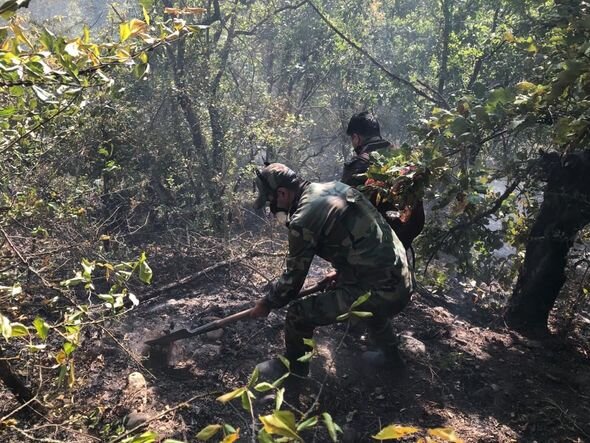 Azərbaycanda beş min hektar ərazi yanıb - FOTO-VİDEO