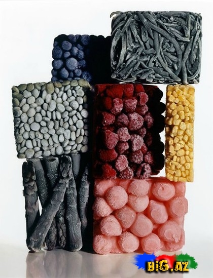 Pikasso və Ditrixin nadir fotoları - FOTO