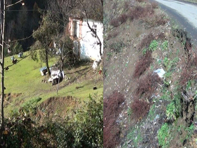 Azərbaycanda torpaq sürüşməsi oldu - Ağaclar torpaq altında qaldı - FOTO